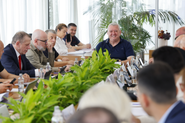 Komiteti Ekzekutiv përcakton kryetarët dhe anëtarët e Komisioneve të Përhershme të FSHF-së