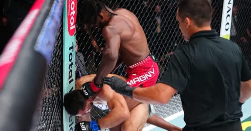 Neil Magny përmbys gjithçka ndaj Ramiz Brahimajt dhe shkruan historinë në UFC 330 Background