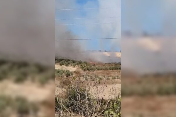 Zjarr në kodrat e Vllahinës, flakët përfshijnë ullishtet dhe tokat bujqësore