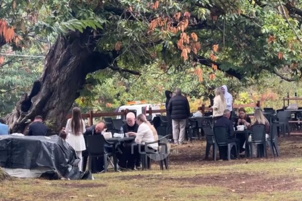 Magjia e vjeshtës në Reç, masivet me gështenja që i japin zonës hijeshinë e veçantë