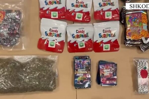 Shiste kanabis pranë shkollave, arrestohet 28-vjeçari në Shkodër