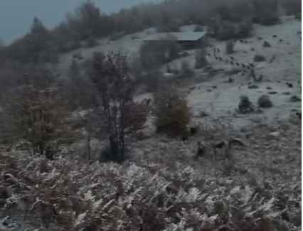 Dimri arrin në Mirditë, bjeshkët dhe majat e maleve zbardhen nga reshjet e para të dëborës