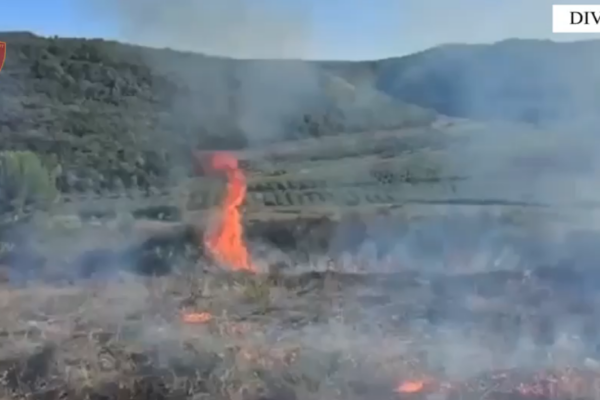 Rrezikoi Parkun e Divjakës, kapet pranë vatrës së zjarrit 29-vjeçari i dyshuar