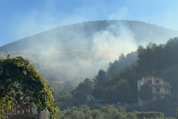 Zjarri aktiv në malin e Manatisë, flakët u afrohen banesave, nis ndërhyrja nga ajri